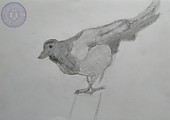 Рисунок чучела птицы