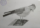 Рисунок чучела птицы
